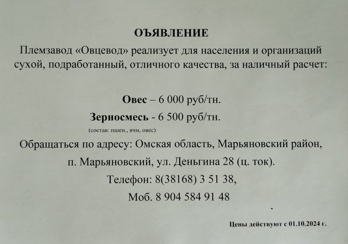 Объявление о продаже овса и зерносмеси.